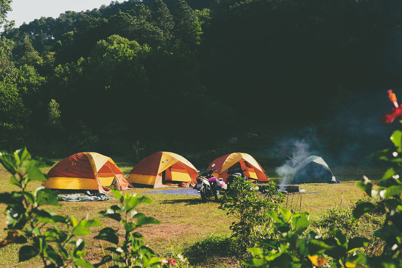 Tips for Navigating Pet-Friendly Campgrounds